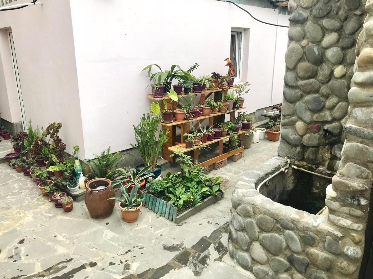 Guesthouse Levani ゴリ エクステリア 写真